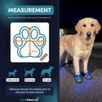 GlowPaws™ LED Dog Boots